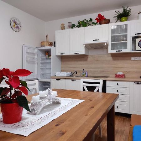 Apartmán pod Božím Darem Jáchymov Exterior foto