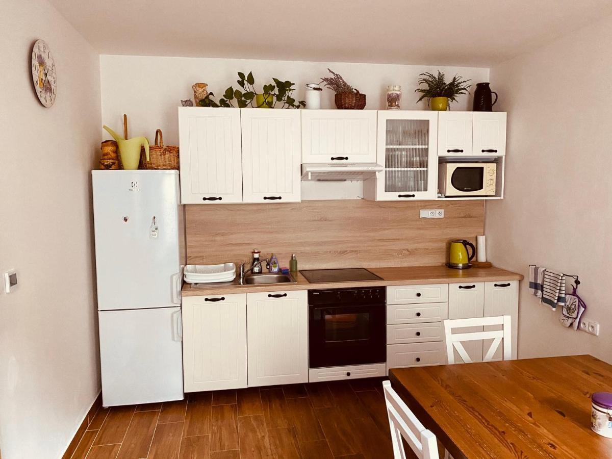 Apartmán pod Božím Darem Jáchymov Exterior foto