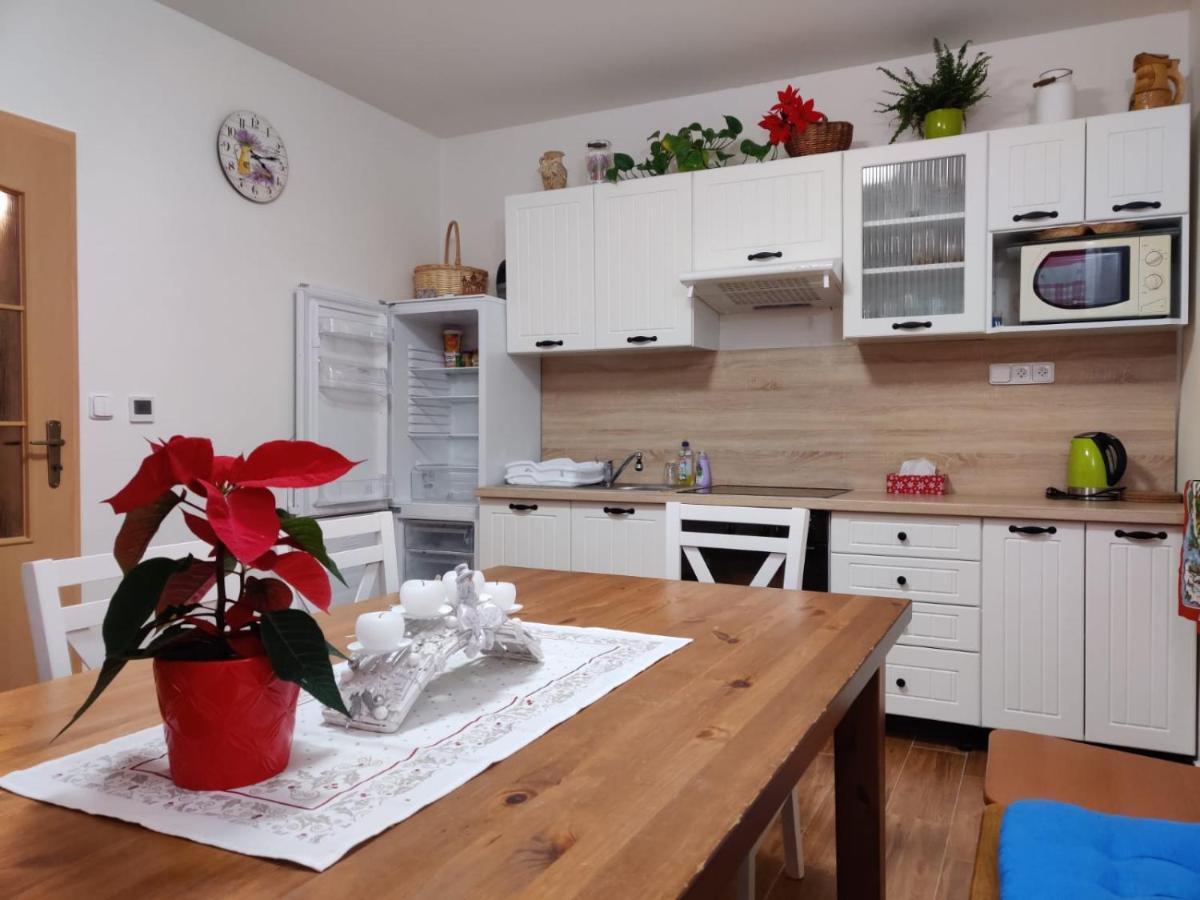Apartmán pod Božím Darem Jáchymov Exterior foto